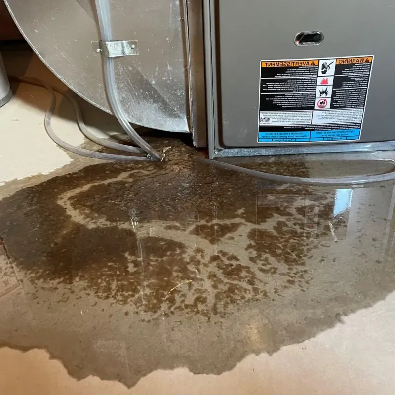 Pipe Burst and Leak Restoration in Occoquan, VA